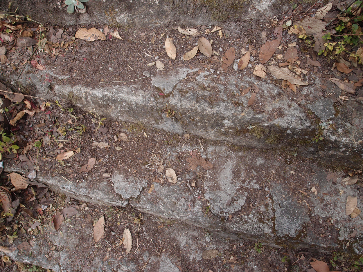 2018-01-16 12 Uhr - Im Shivapuri Nagarjun National Park (Nagi Gumba) (Foto) 